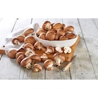 Champignons bruns FILIÈRE QUALITÉ CARREFOUR en promo chez Carrefour Champignons bruns FILIÈRE QUALITÉ CARREFOUR dans le catalogue Carrefour