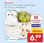 Hauswurz Angebote bei Netto Marken-Discount Wuppertal für 6,99 €