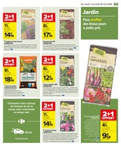 Plantes Angebote im Prospekt "Carrefour" von Carrefour auf Seite 79