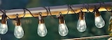 20er-LED-Lichterkette* von  im aktuellen Penny Prospekt für 14,99 €