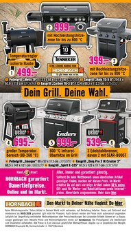 Gasgrill im Hornbach Prospekt "Du willst es. Dann bau es." mit 36 Seiten (Potsdam)