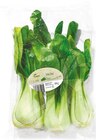 Pak Choi von GO Regio im aktuellen Netto mit dem Scottie Prospekt für 0,99 €