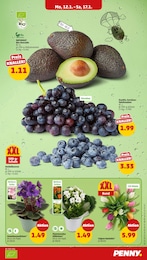 Heidelbeeren Angebot im aktuellen Penny Prospekt auf Seite 5