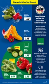 Paprika im Lidl Prospekt in Sindelfingen Aktueller Lidl Prospekt mit Paprika, "LIDL LOHNT SICH", Seite 5