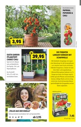 Tomatenduenger im Gartenland Würstle Prospekt "JETZT WIRD ES BUNT!" auf Seite 7