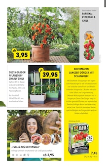 Gartenpflege im Gartenland Würstle Prospekt "JETZT WIRD ES BUNT!" mit 8 Seiten (München)