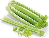 Staudensellerie im Angebot bei REWE in Bielefeld Staudensellerie Angebote bei REWE Bielefeld für 0,99 €