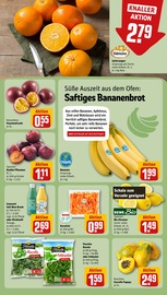 Tierfutter im REWE Prospekt in Minden Aktueller REWE Prospekt mit Tierfutter, "Dein Markt", Seite 6