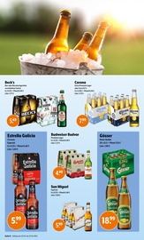 Aktueller Trink und Spare Prospekt mit Mixer, "Aktuelle Angebote", Seite 6