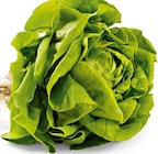 Aktuelles Kopfsalat mit Wurzel Angebot bei Netto Marken-Discount in Dortmund ab 1,00 €