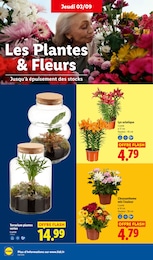 Prix et réduction Aménagement Extérieur dans le prospectus Lidl en cours Offre Aménagement Extérieur dans le catalogue Lidl du moment à la page 34