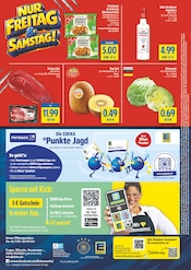 Kiwi im diska Prospekt in Dresden Aktueller diska Prospekt mit Kiwi, "alles an deinem ort.", Seite 16