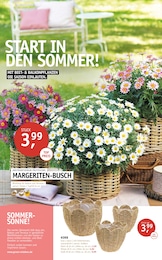 ROSENGUT Langerwisch Prospekt für Michendorf mit 12 Seiten ROSENGUT Langerwisch Prospekt für Michendorf: "START IN DEN SOMMER!", 12 Seiten, 15.04.2026 - 26.04.2026
