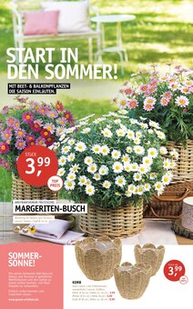 ROSENGUT Langerwisch Prospekt START IN DEN SOMMER! mit 12 Seiten