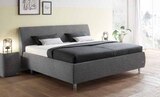 Polsterbett im Angebot bei Opti-Wohnwelt in Fulda Polsterbett Angebote von Ruf Betten bei Opti-Wohnwelt Fulda für 2.599,00 €