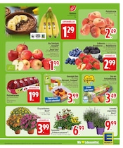Äpfel im EDEKA Prospekt in Rosenheim Aktueller EDEKA Prospekt mit Äpfel, "Wir lieben Lebensmittel.", Seite 5