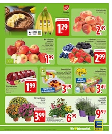 Bananen im aktuellen EDEKA Prospekt (München) Bananen im EDEKA Prospekt "Wir lieben Lebensmittel." mit 31 Seiten (München)