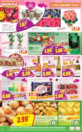 Vin Angebote im Prospekt "Votre Discounter Régional" von Norma auf Seite 4