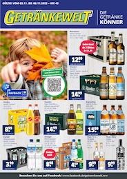Getränkewelt Prospekt für Ratingen mit 4 Seiten Getränkewelt Prospekt für Ratingen: "DIE GETRÄNKEKÖNNER", 4 Seiten, 03.11.2025 - 08.11.2025