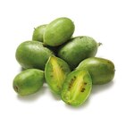 Kiwibeeren Angebote bei Netto mit dem Scottie Cottbus für 1,49 €