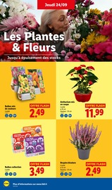Bricolage en promo dans le catalogue Lidl à la page 28