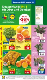 Aktueller Lidl Prospekt mit Blumenzwiebeln, "LIDL LOHNT SICH", Seite 52