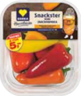 EDEKA Römnitz - Mini Pflaumen Tomaten Angebot im Prospekt Mini Pflaumen Tomaten bei EDEKA im Römnitz Prospekt für 5,00 €