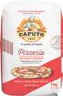 Mehl im V-Markt Prospekt Mehl von Caputo im aktuellen V-Markt Prospekt für 1,99 €