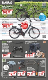 Aktueller Marktkauf Prospekt mit Fahrrad, "Aktuelle Angebote", Seite 34