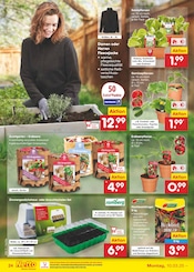 Aktueller Netto Marken-Discount Prospekt mit Garten, "Aktuelle Angebote", Seite 36