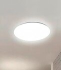 LED-Deckenleuchte „Farica“ ohne Sterneneffekt bei Werkers Welt im Friesack Prospekt für 7,99 €