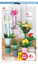 Promos Orchidée dans le catalogue "Super U" de Super U Orchidée en promo dans le catalogue Super U à la page 27