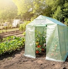 Aktuelles Gewächshaus Angebot bei Thomas Philipps in Duisburg ab 1,29 €