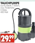 Aktuelles Tauchpumpe Angebot bei Wreesmann in Dresden ab 29,99 €