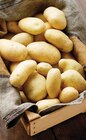 Pomme de terre nouvelle récolte - Intermarché Terroirs - Intermarché Super à Bourges Pomme de terre nouvelle récolte - Intermarché Terroirs en promo chez Intermarché Super Bourges à 1,99 €