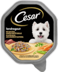 Hundenahrung Angebote von Cesar bei budni Berlin für 0,69 €