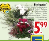 Heidegarten im Angebot bei EDEKA in Straubing Heidegarten Angebote bei EDEKA Straubing für 5,99 €