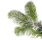 Getränke Lehmann - Getränke A-Z - Merlot Angebot im Prospekt Merlot bei Getränke Lehmann - Getränke A-Z im Prospekt "" für 5,99 €