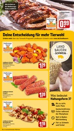 Aktueller REWE Prospekt mit Rollbraten, "Dein Markt", Seite 19