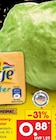 Netto Marken-Discount - Eisberg-Salat Angebot im Prospekt Eisberg-Salat bei Netto Marken-Discount im Prospekt "" für 0,88 €