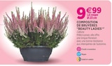 Promo Composition de bruyères "Beauty Ladies" à 9,99 € dans le catalogue Delbard à Aumale