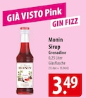 Sirup im Angebot bei famila Nordost in Neumünster Sirup Angebote von Monin bei famila Nordost Neumünster für 3,49 €