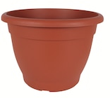 Pflanztopf »Campana« im Angebot bei Wreesmann in Stendal Pflanztopf »Campana« Angebote bei Wreesmann Stendal für 0,99 €