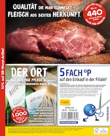Netto Marken-Discount Prospekt Regenstauf "10% auf SB-Wurst-Artikel" mit 2 Seiten