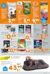 Aktueller Globus-Baumarkt Prospekt mit Kissen, "Immer eine Idee besser", Seite 3