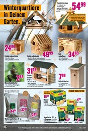 Sonnenblumenkerne im Hornbach Prospekt in Salzgitter Aktueller Hornbach Prospekt mit Sonnenblumenkerne, "Über 400.000 Geschenkideen", Seite 25