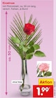 Einzelrose Angebote bei Netto Marken-Discount Rosenheim für 1,99 €