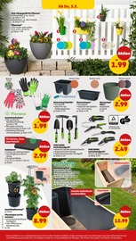 Aktueller Penny Prospekt mit Schuhe, "Wer günstig will, muss Penny.", Seite 32