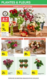 Chrysanthèmes en promo dans le catalogue Carrefour à la page 74