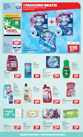 Aktueller famila Nordost Prospekt mit Ariel, "besser als gut!", Seite 17